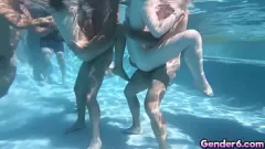 Jouer Orgie trans dans la piscine ! Rejoignez Korra Del Rio, Khloe Kay, Aubrey Kate et Shiri Allwood pour une balade sauvage et humide !